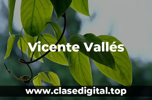 Vicente Vallés