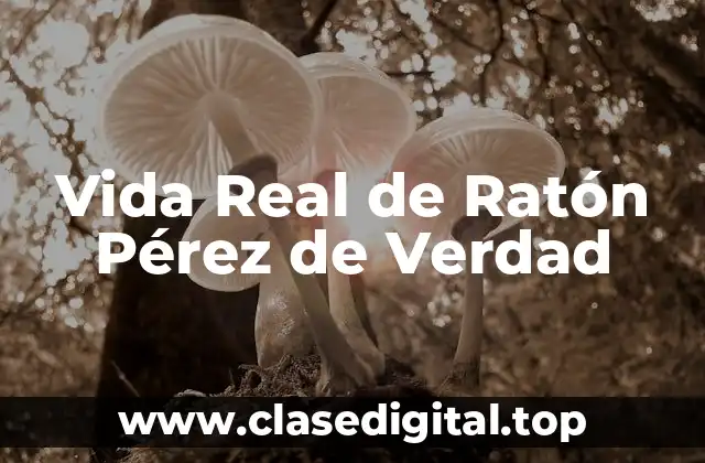 Vida Real de Ratón Pérez de Verdad