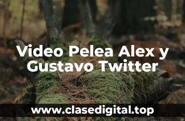 Video Pelea Alex y Gustavo Twitter