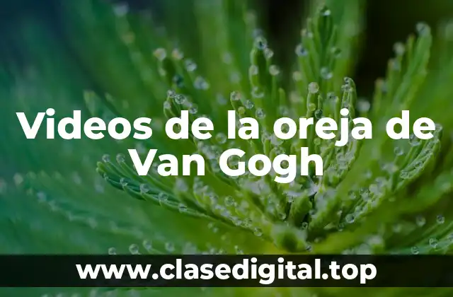 Videos de la oreja de Van Gogh