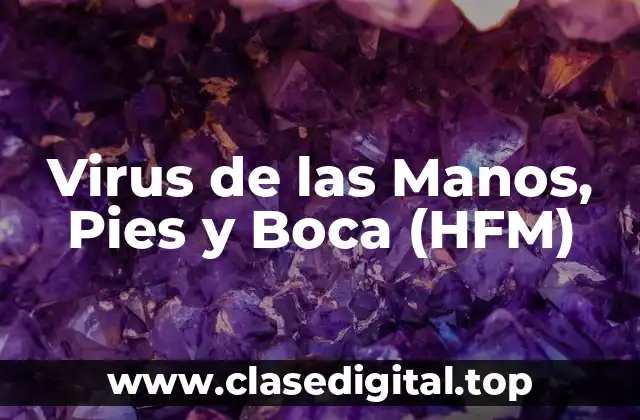 Virus de las Manos, Pies y Boca (HFM)