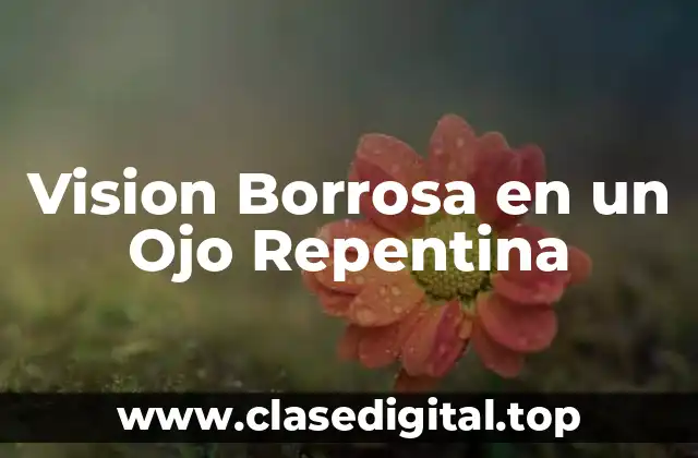 Causas de la Visión Borrosa en un Ojo Repentina