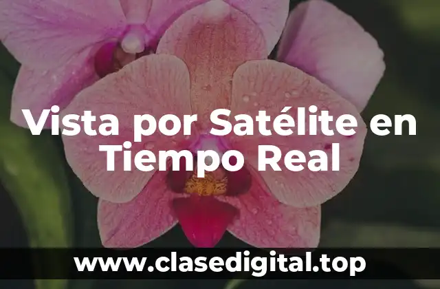 Vista por Satélite en Tiempo Real