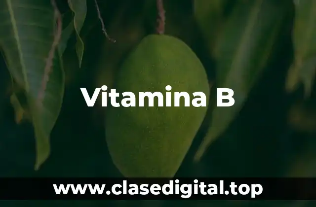 Vitamina B