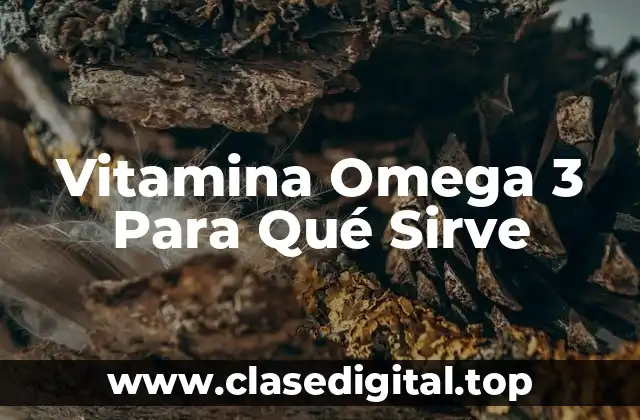 Vitamina Omega 3 Para Qué Sirve