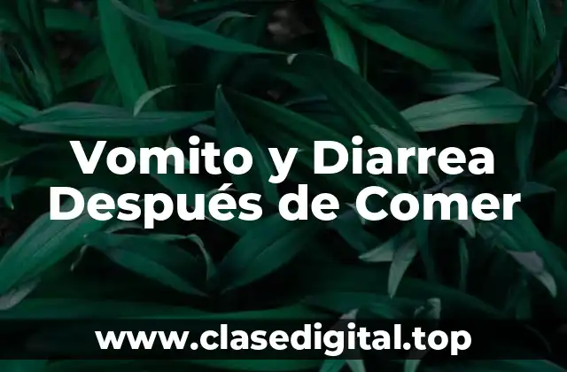 Causas del Vomito y la Diarrea Después de Comer