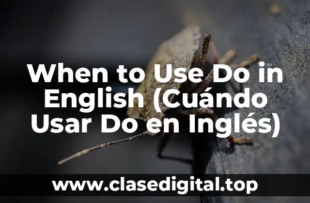 ¿Cuándo Se Usa Do como Verbo Auxiliar?