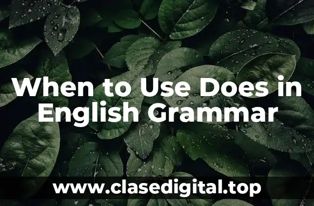 When to Use Does in English Grammar
