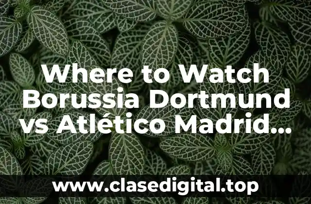 Where to Watch Borussia Dortmund vs Atlético Madrid Live Online