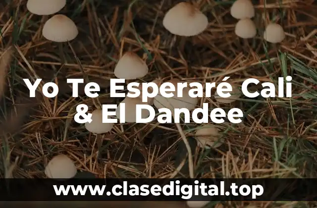 Yo Te Esperaré Cali & El Dandee