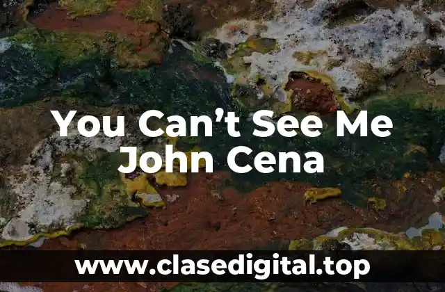 You Can’t See Me John Cena