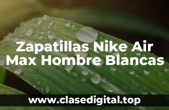 Zapatillas Nike Air Max Hombre Blancas