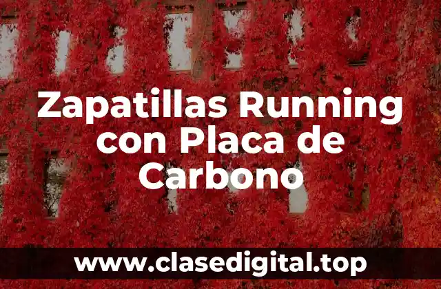 Zapatillas Running con Placa de Carbono