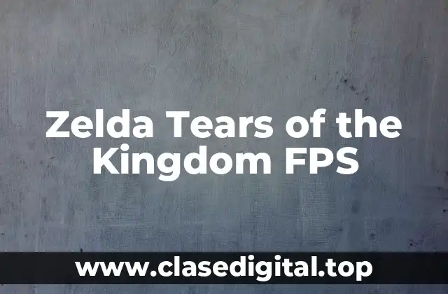 Zelda Tears of the Kingdom FPS