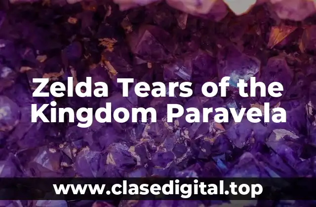 Zelda Tears of the Kingdom Paravela