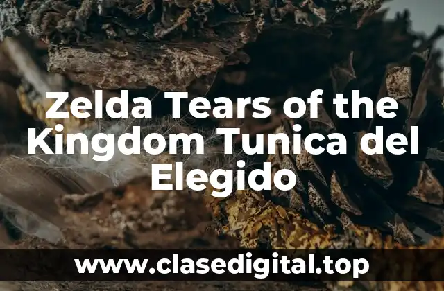 Zelda Tears of the Kingdom Tunica del Elegido