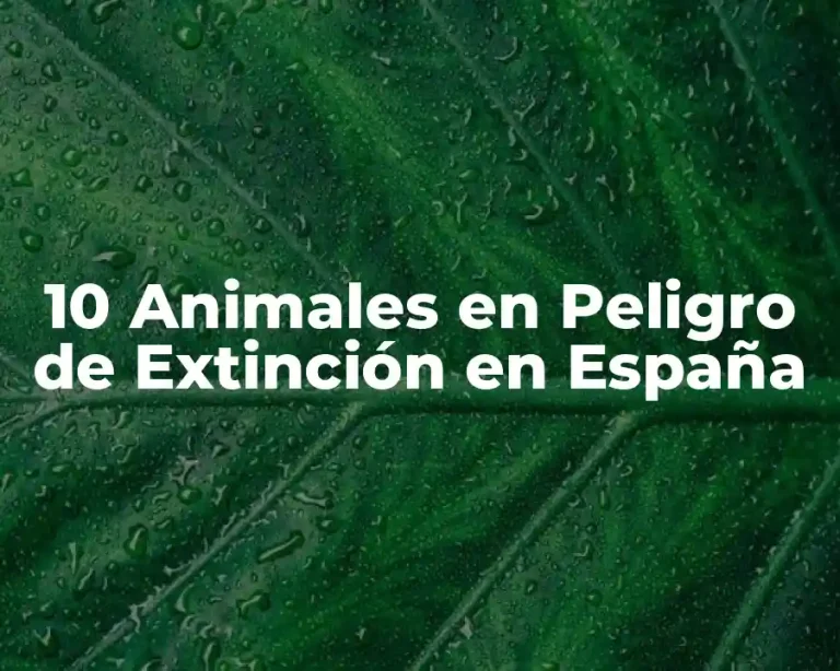10 Animales en Peligro de Extinción en España