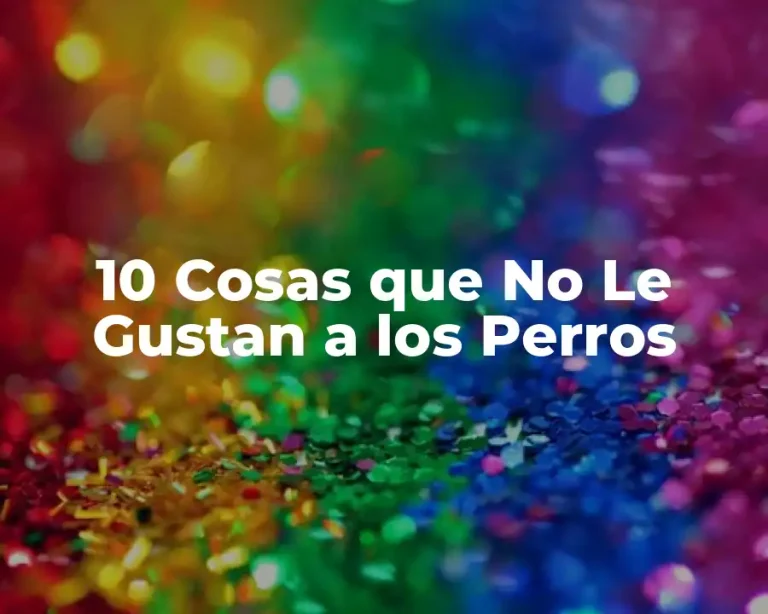 10 Cosas que No Le Gustan a los Perros