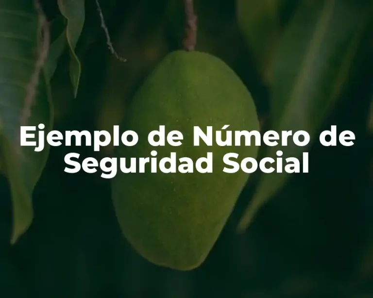 Ejemplo de Número de Seguridad Social