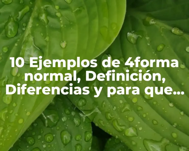 10 Ejemplos de 4forma normal, Definición, Diferencias y para que sirve
