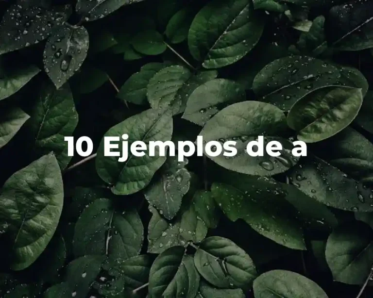 10 Ejemplos de a