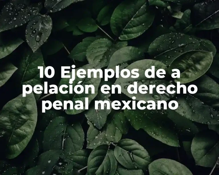 10 Ejemplos de a pelación en derecho penal mexicano