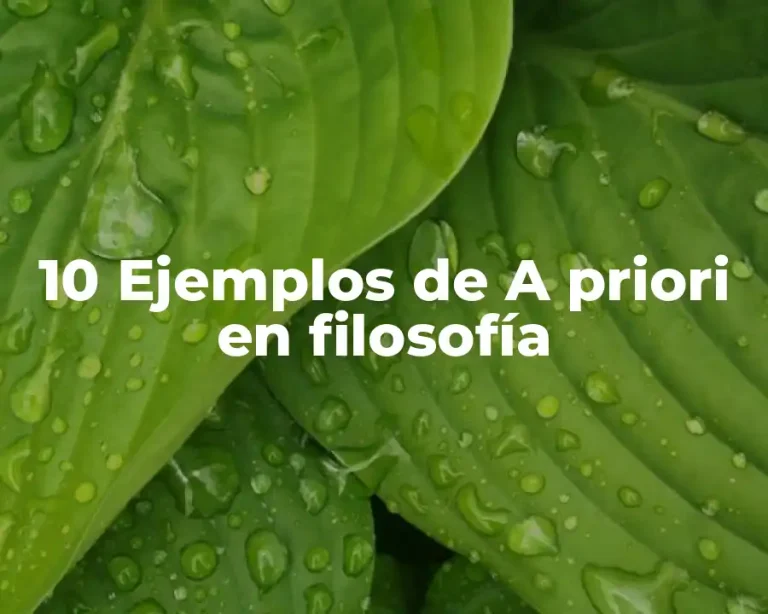 10 Ejemplos de A priori en filosofía