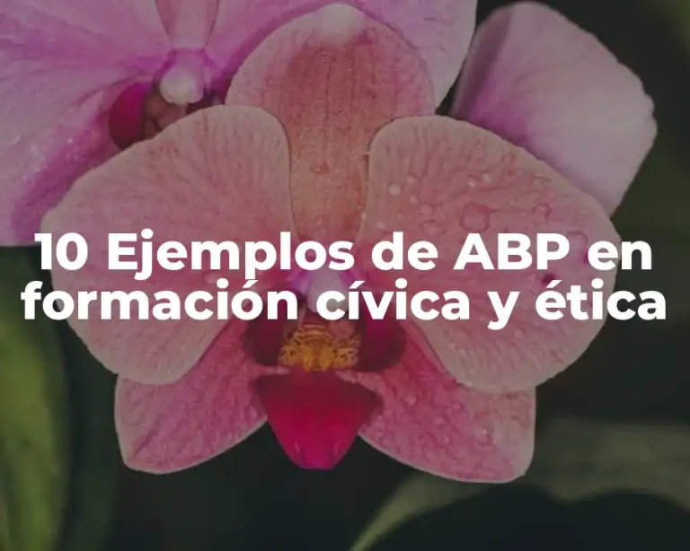 10 Ejemplos de ABP en formación cívica y ética