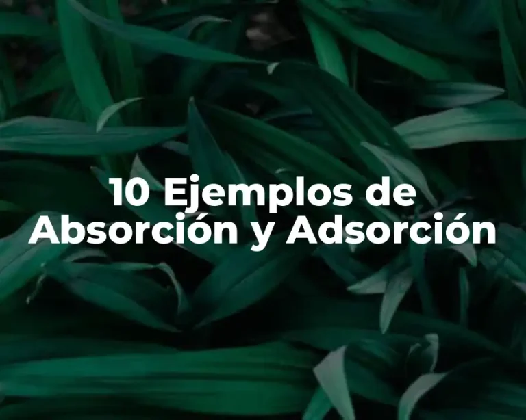 10 Ejemplos de Absorción y Adsorción