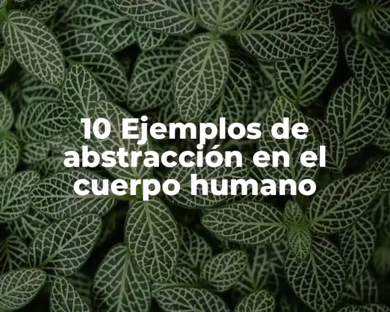 10 Ejemplos de abstracción en el cuerpo humano