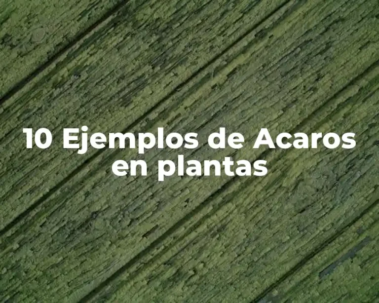 10 Ejemplos de Acaros en plantas