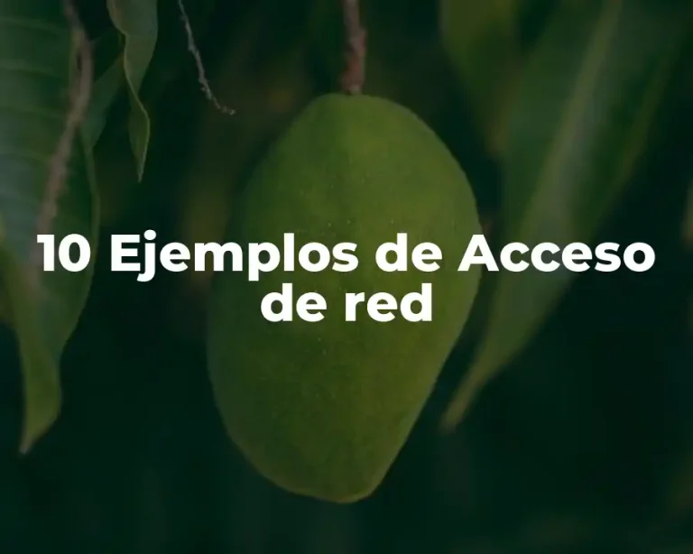 10 Ejemplos de Acceso de red