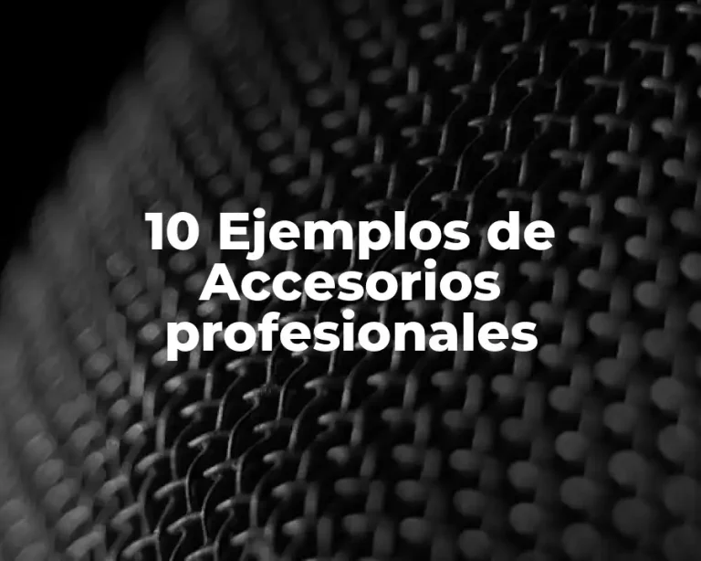10 Ejemplos de Accesorios profesionales