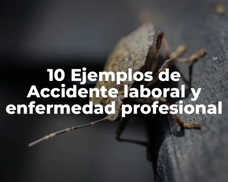 10 Ejemplos de Accidente laboral y enfermedad profesional