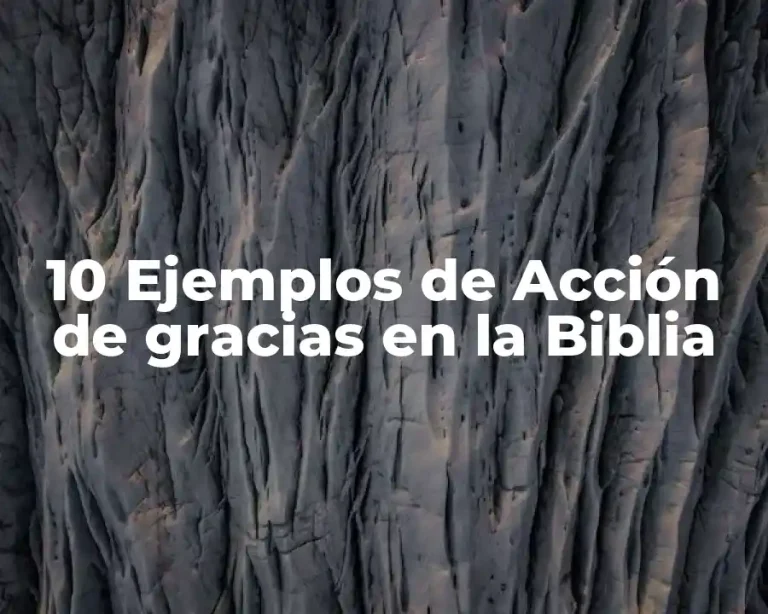 10 Ejemplos de Acción de gracias en la Biblia