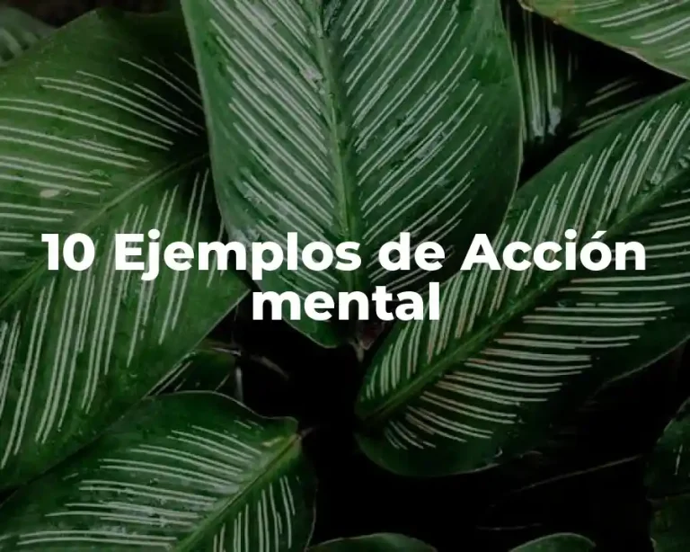 10 Ejemplos de Acción mental