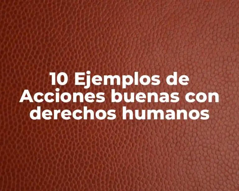 10 Ejemplos de Acciones buenas con derechos humanos