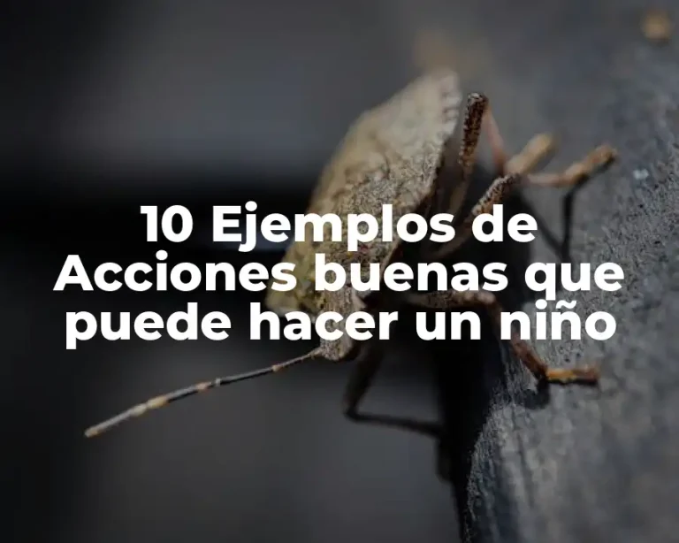 10 Ejemplos de Acciones buenas que puede hacer un niño
