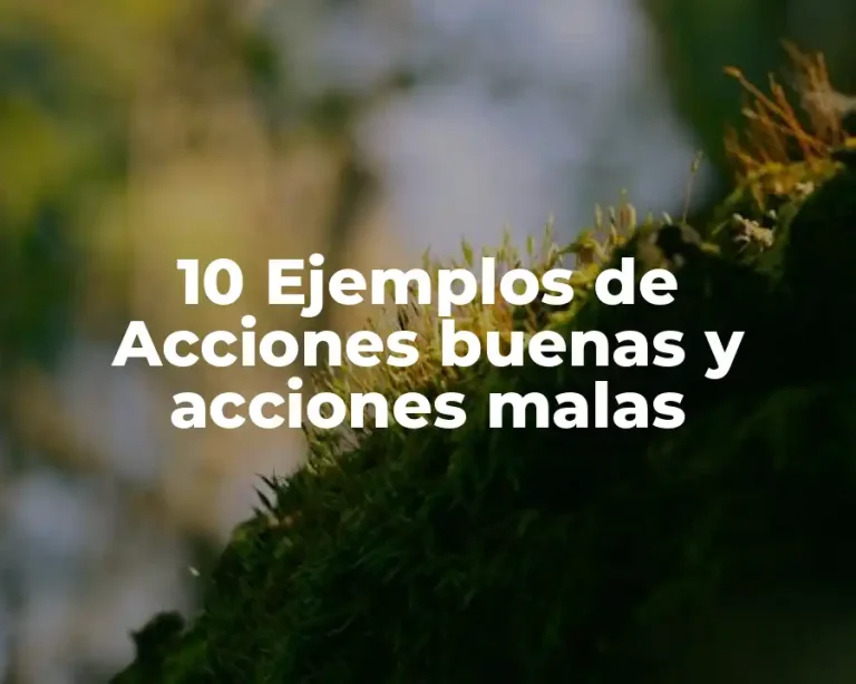 10 Ejemplos de Acciones buenas y acciones malas