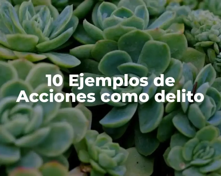 10 Ejemplos de Acciones como delito