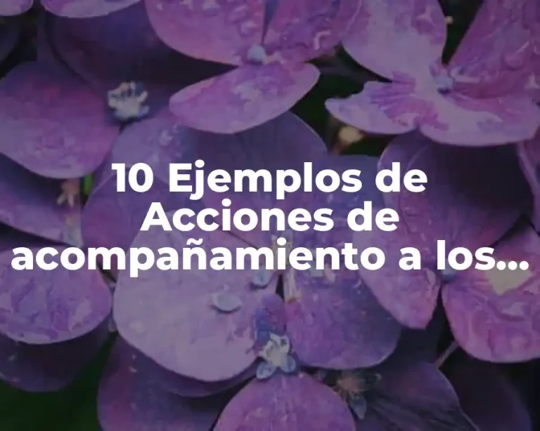 10 Ejemplos de Acciones de acompañamiento a los alumnos
