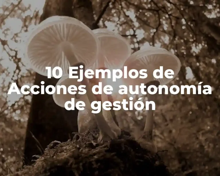 10 Ejemplos de Acciones de autonomía de gestión