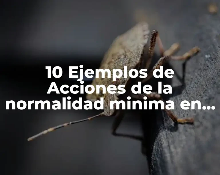 10 Ejemplos de Acciones de la normalidad minima en preescolar