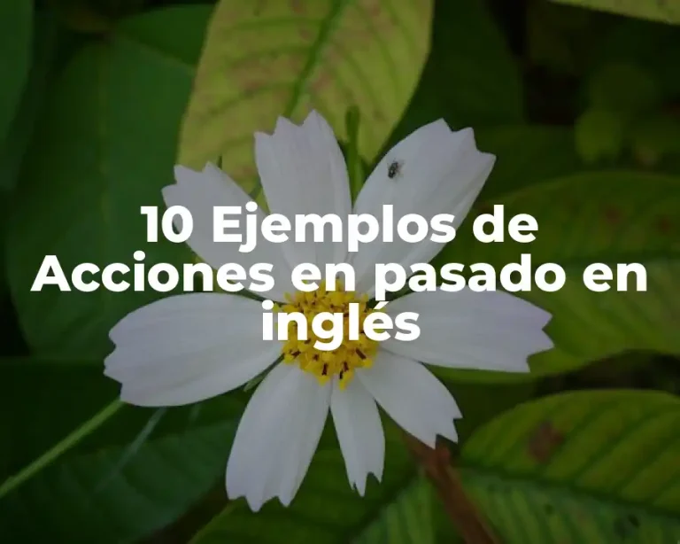 10 Ejemplos de Acciones en pasado en inglés