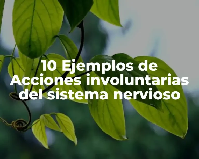 10 Ejemplos de Acciones involuntarias del sistema nervioso