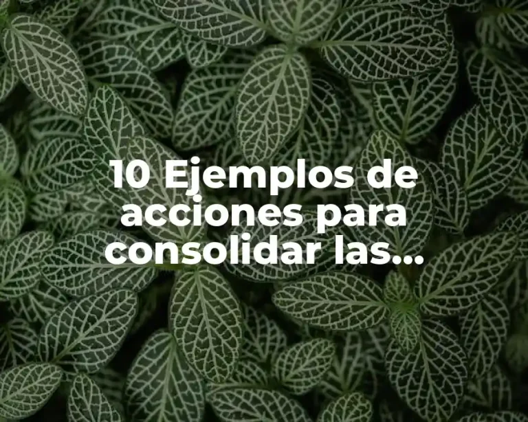 10 Ejemplos de acciones para consolidar las operaciones matemáticas básicas