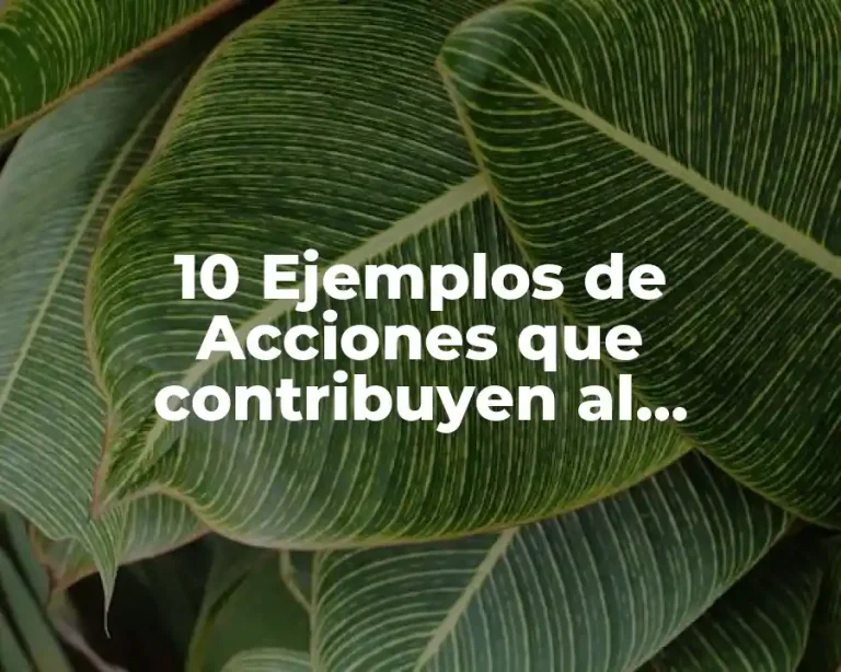 10 Ejemplos de Acciones que contribuyen al desarrollo sustentable