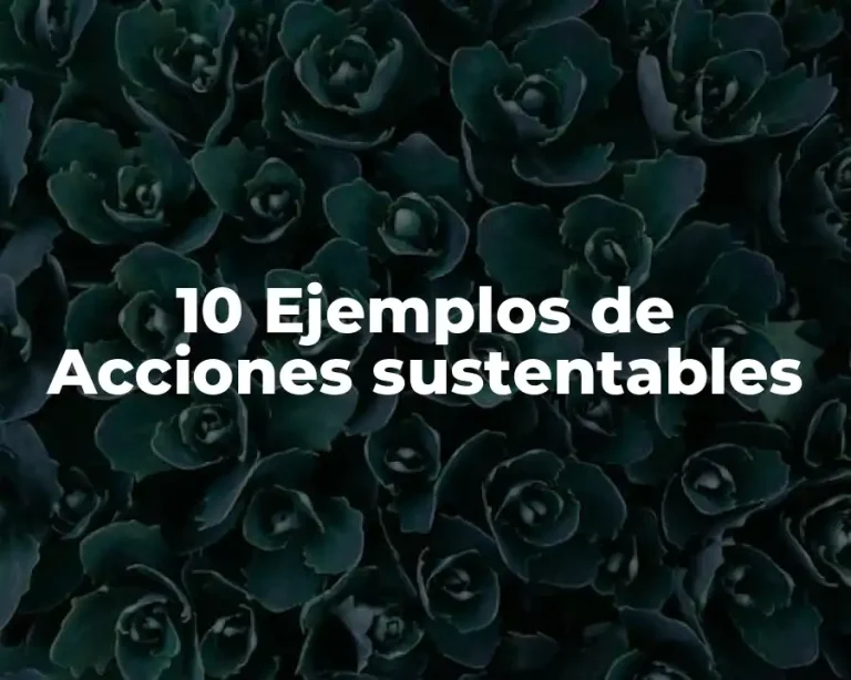 10 Ejemplos de Acciones sustentables