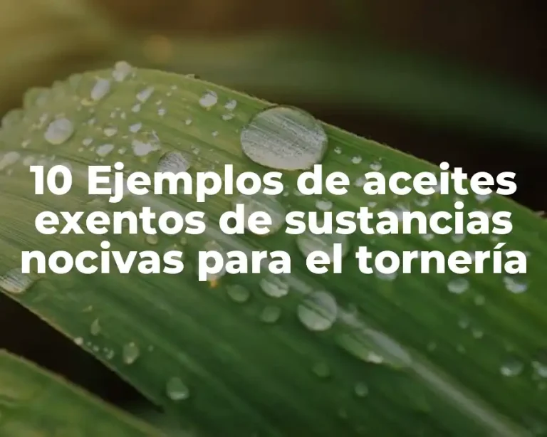 10 Ejemplos de aceites exentos de sustancias nocivas para el tornería