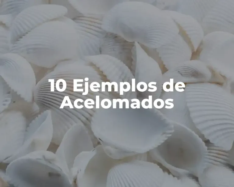 10 Ejemplos de Acelomados